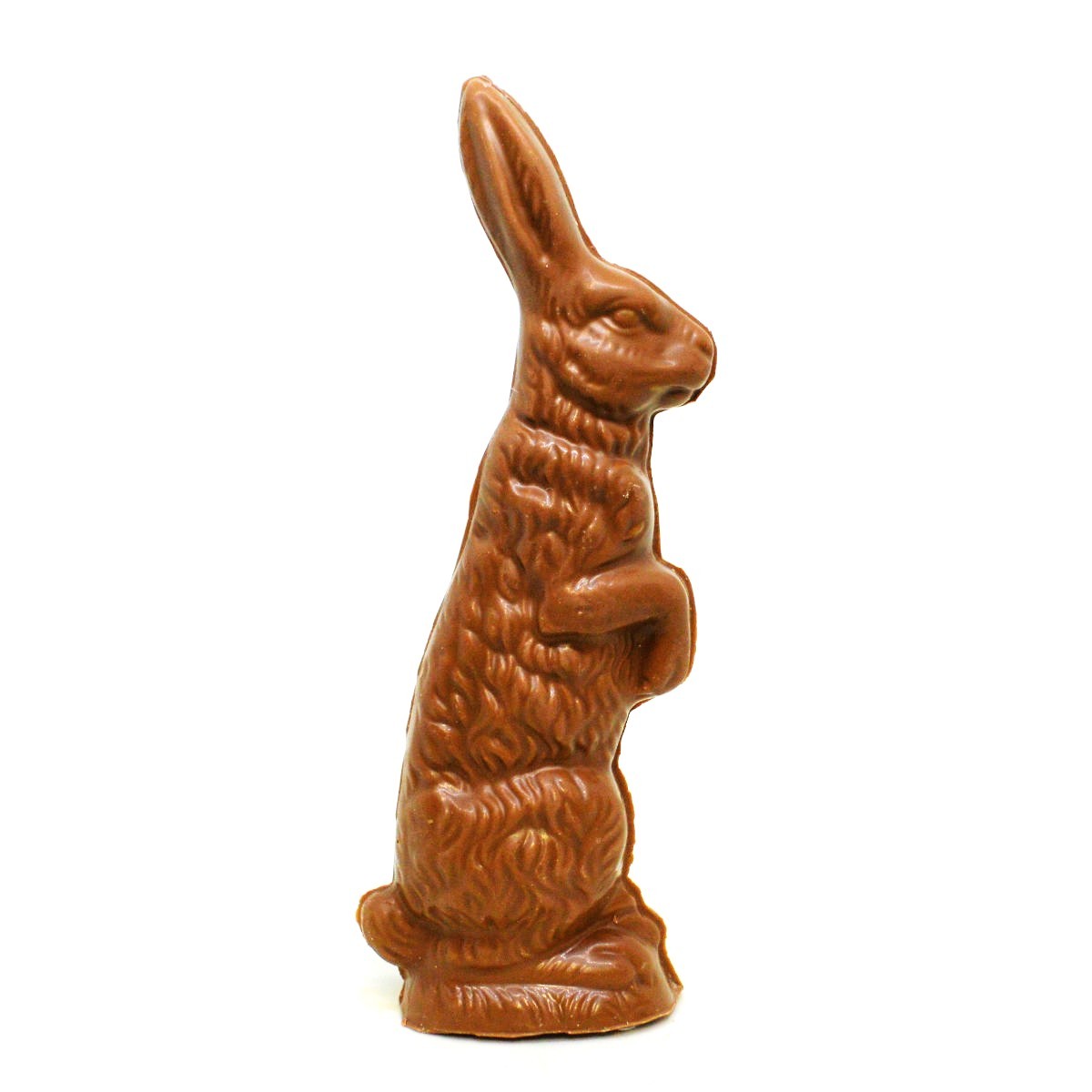 E12-Meltie Bunny